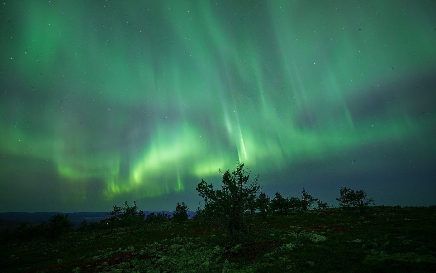 Green aurora borealis above snowy Levi in Finnish Lapland