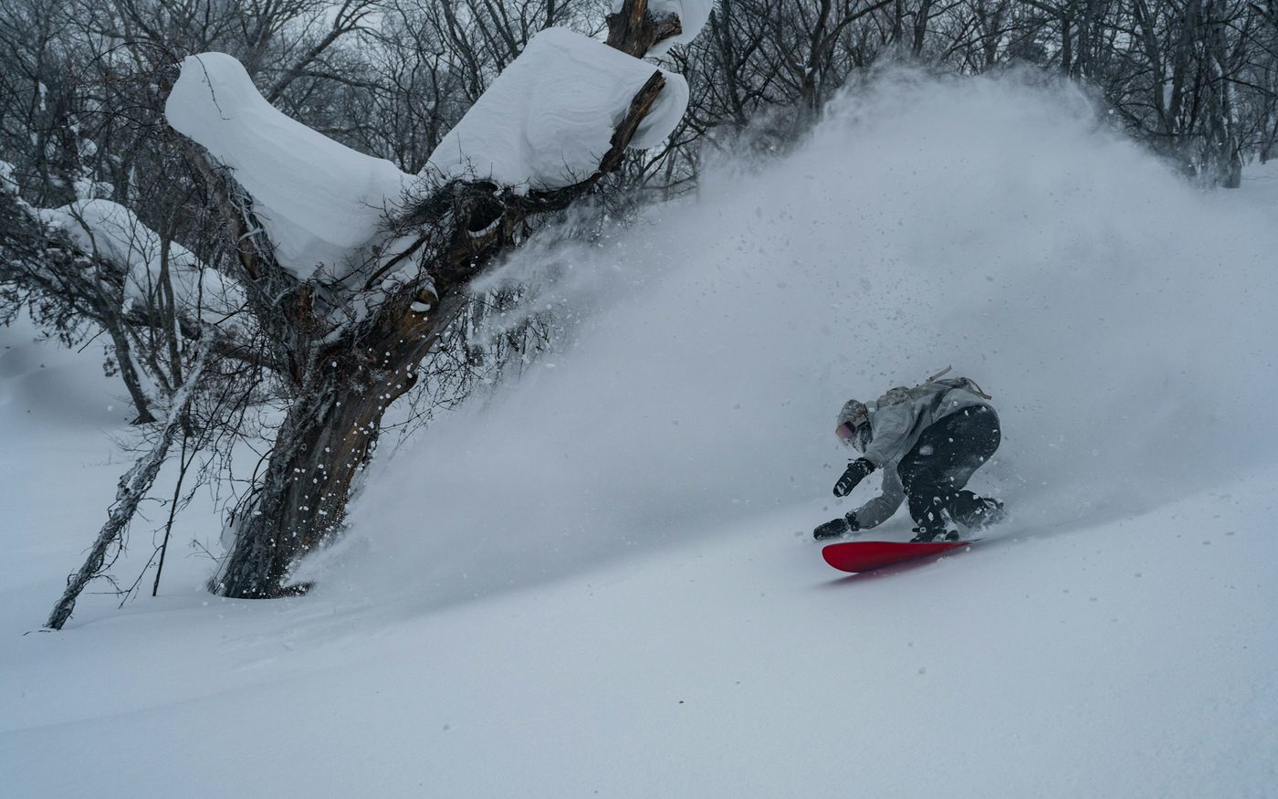 Snowboarder riding deep powder on a Niseko slope