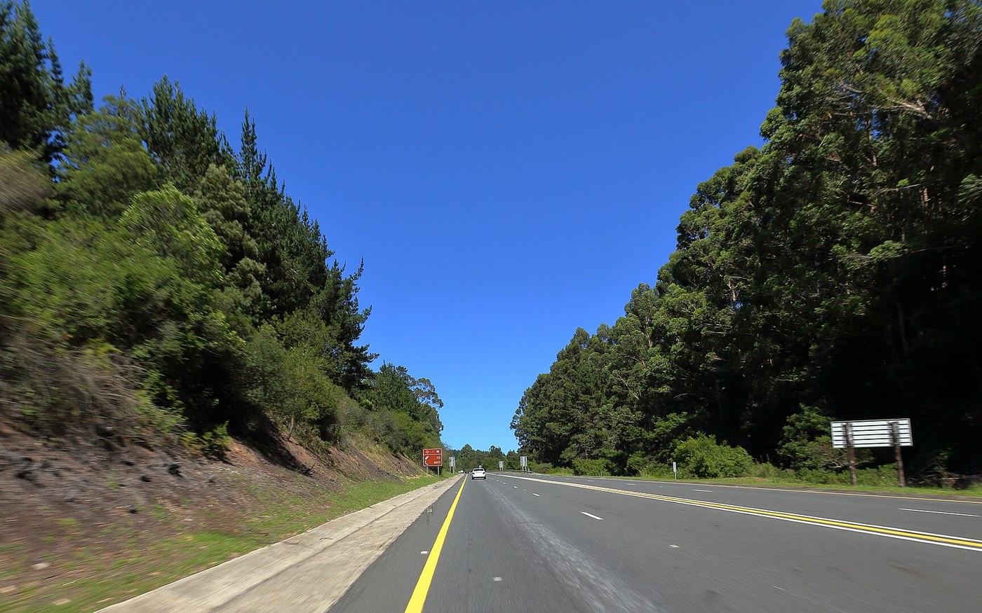 A quiet road through the green landscape of South Africa's Garden Route