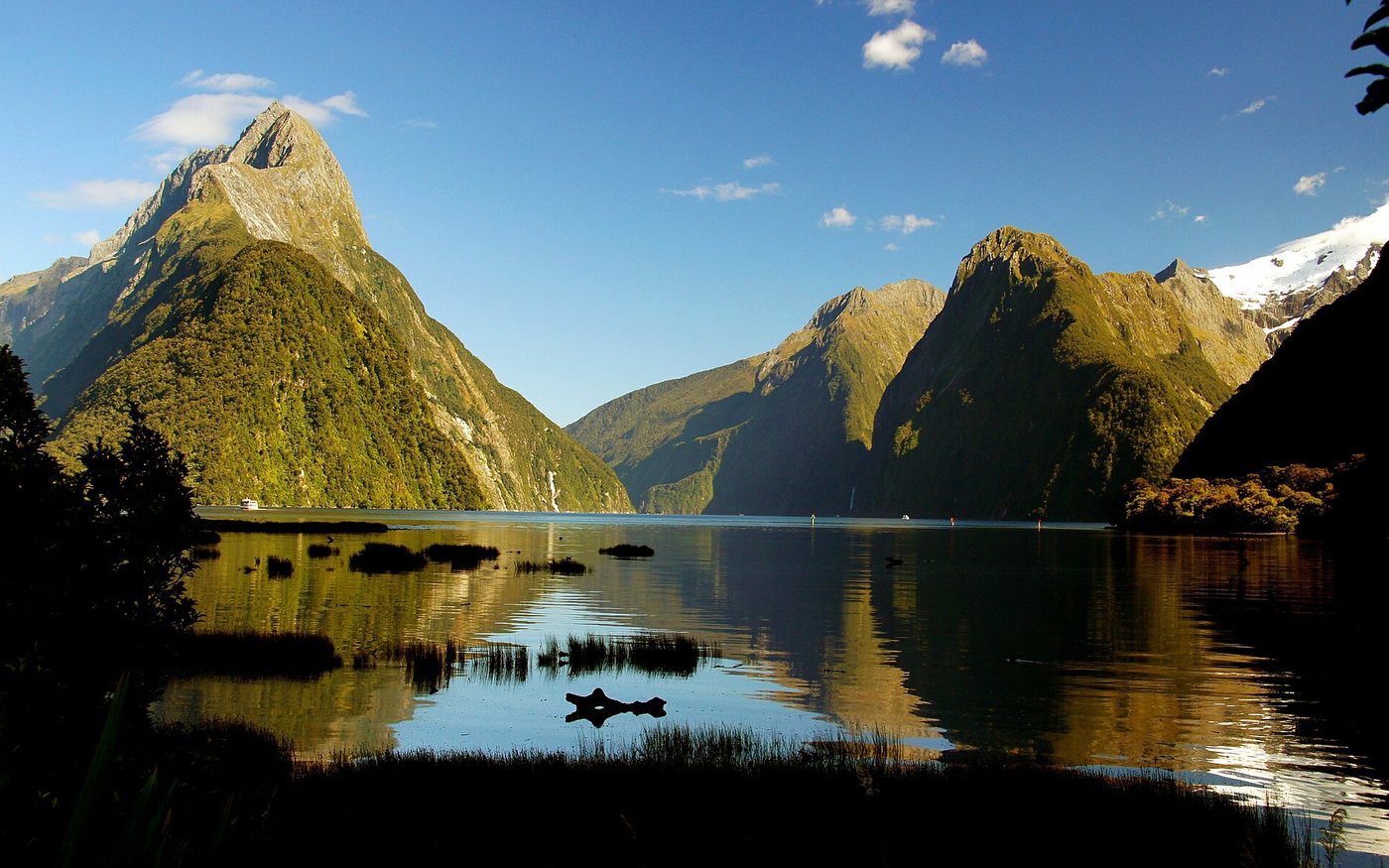 Milford Sound beneath green mountains on New Zealand's South Island