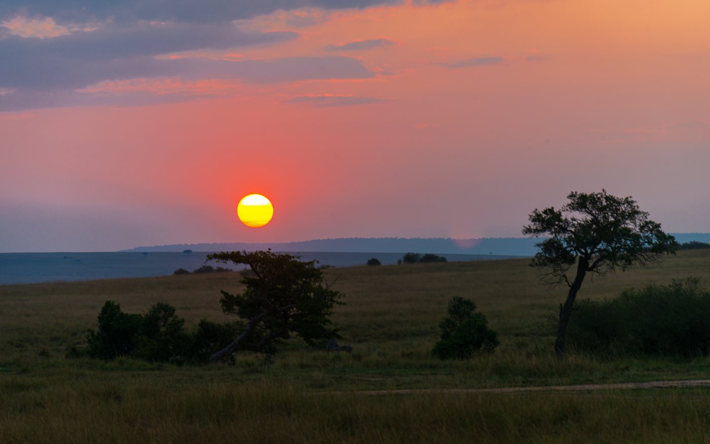 Golden sunset light over open savanna grassland in the Maasai Mara, Kenya