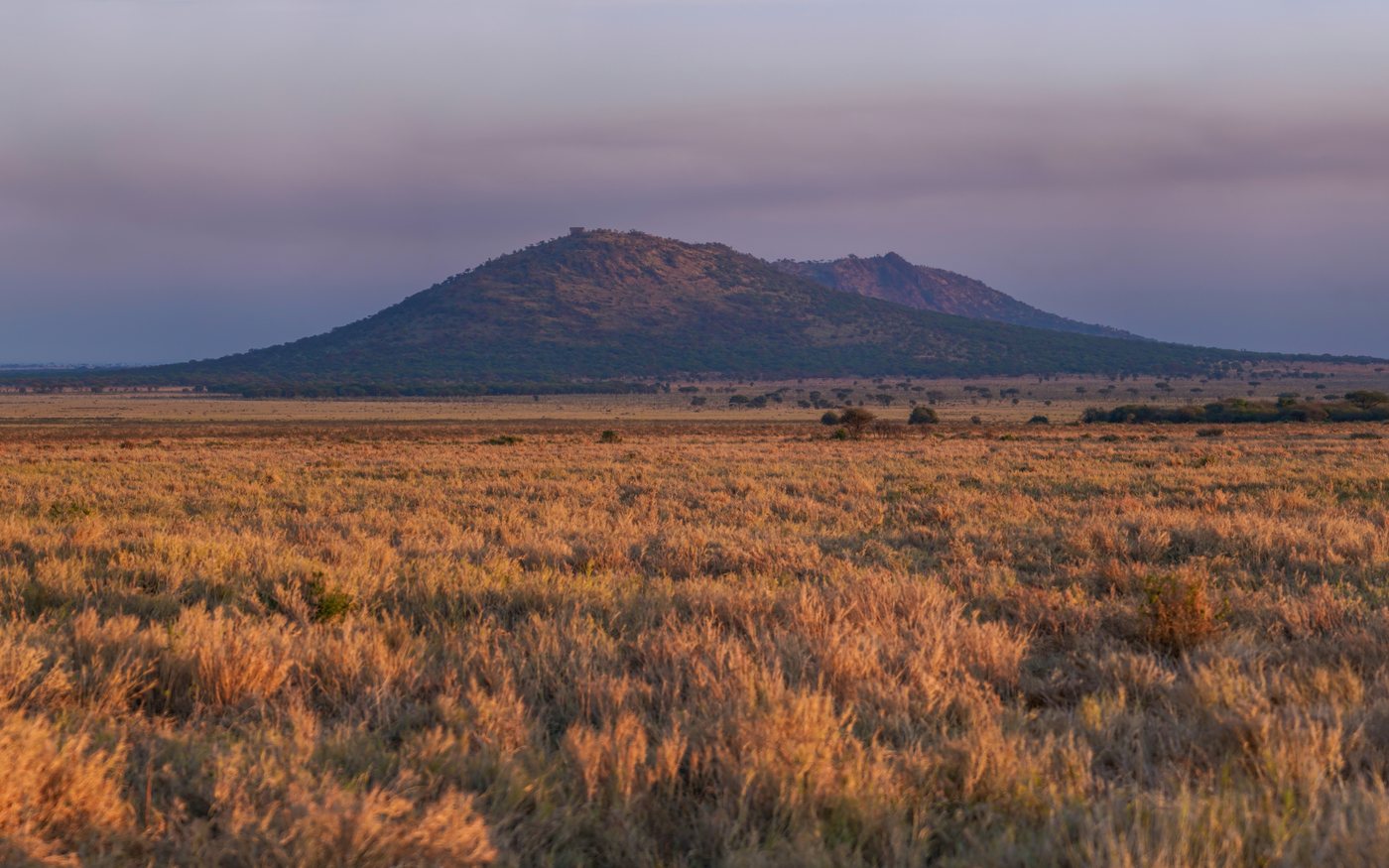 Panoramic sunrise over the grassy plains of the Serengeti, Tanzania