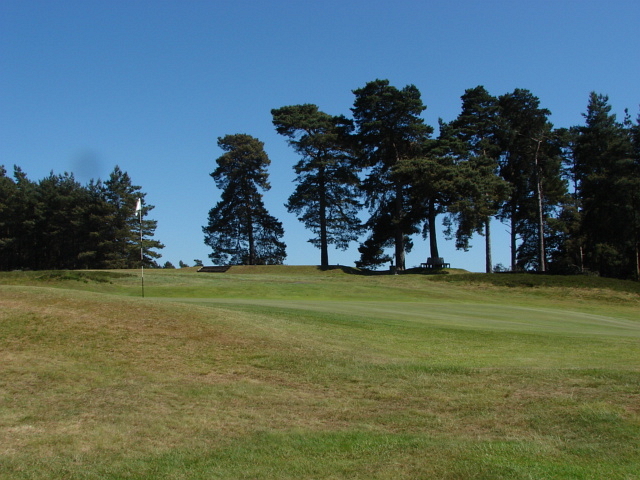 Swinley Forest golf course